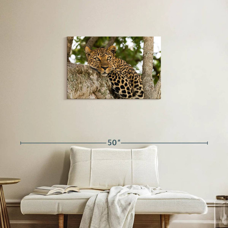 Brampt Leopard On Tree Trunk