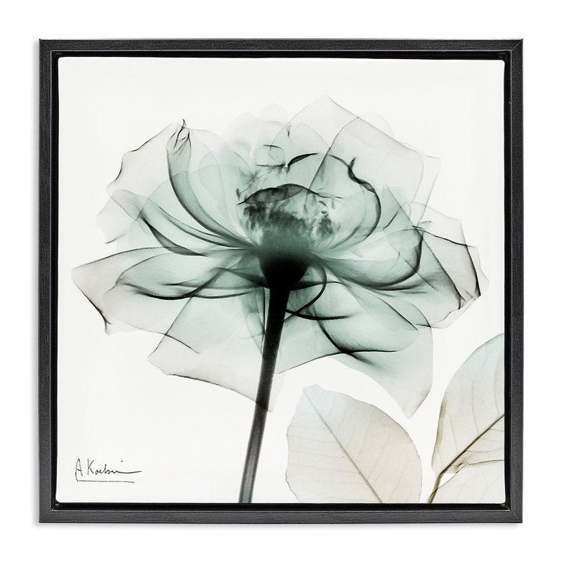 Cadre flottant transparent avec fleurs en fleurs, design par Albert Koetsier, H 25 po x l 25 po, Cadre flottant noir de jais
