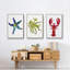 Homard, impression sur toile 3 pièces-91887568-91887564