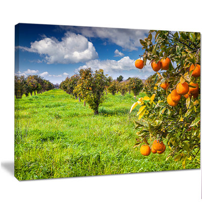 «Bright Green Grass in Orange Garden», reproduction de photo sur toile tendue