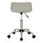 Chaise de bureau pivotante, chaise à hauteur réglable, chaise d'ordinateur à dossier bas avec base en métal-197821440-197821441
