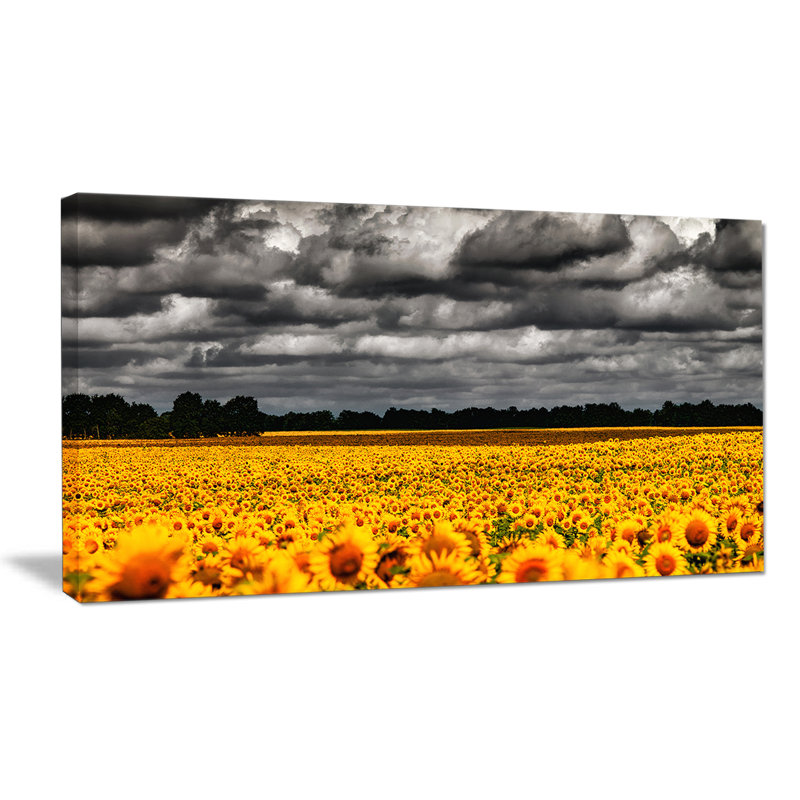 « van gogh avec clouds », reproduction de photo sur toile tendue, H 28 x l 60 po x P 1 po