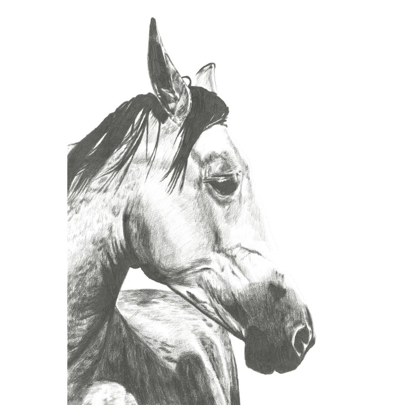 Instantané de la faune: cheval II, H 18 po x l 12 po x P 1,25 po