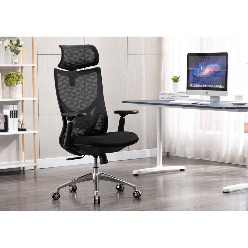 Arunya Mesh Task Chair with Headrest, Black