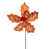 Orange sélectionné
