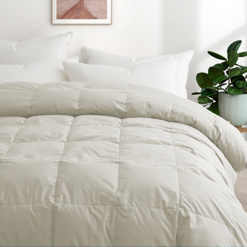 All Season Cotton Down Comforter/Duvet Insert, Queen Comforter, Oatmeal