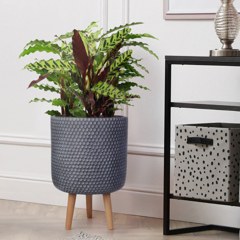 Concrete Effect Cylinder Round Planter on Hardwood Legs, Round Indoor Plant Pot Stand for Indoor Plants, Indoor Flower Pot with Honeycomb Pattern