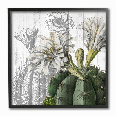 «Cactus avec fleurs blanches et fond gris doux» par Kimberly Allen, peinture