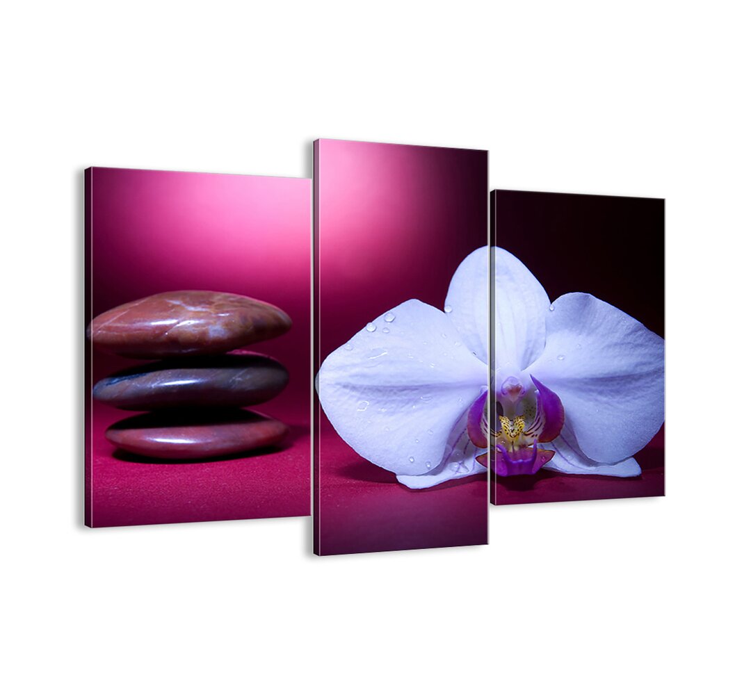 3-tlg. Leinwandbilder-Set - Fotografie „A Study of Freshness in Purple”