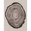 Silentarchive by Other Artist-1134273216-1134273226-1134273235