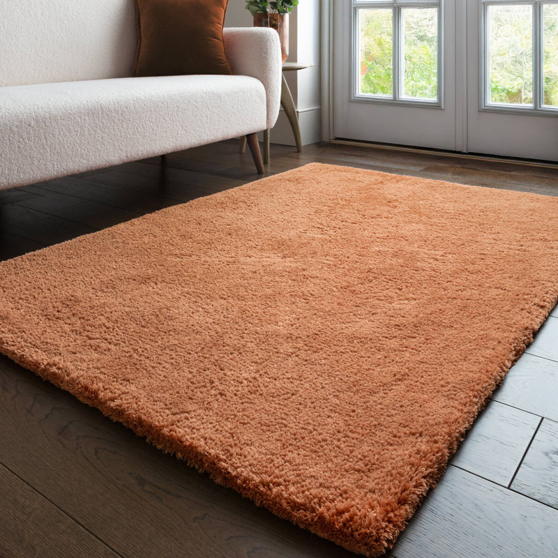 Tachiana Hand Tufted Shaggy Rust Area Rug, Rectangle 120 x 170 cm
