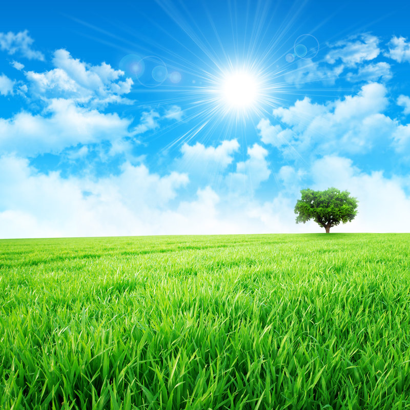 Vert comme une prairie au soleil sur toile par Titoonz, photographie, H 36 po x l 36 po x P 1,25 po