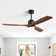 Nicola 60" 3 - Blade LED Standard Ceiling Fan with Remote Control and Light Kit Included