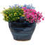 Jardinière extérieure Berlina