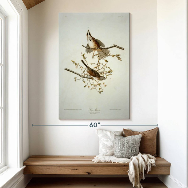 Bruant chanteur des oiseaux d'Amérique, H 51 po x l 34 po
