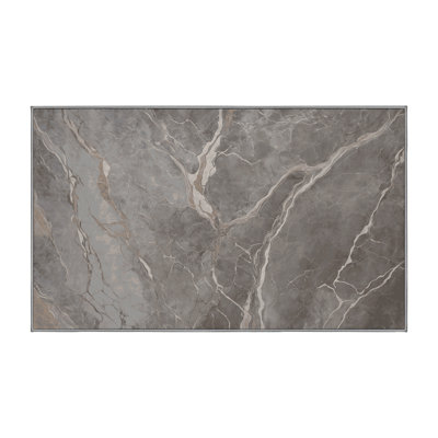Machine Washable Gray Area Rug