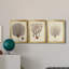 Esper Sea Fans I - ensemble de 3 peintures sur toile encadrées-265464115-265464119