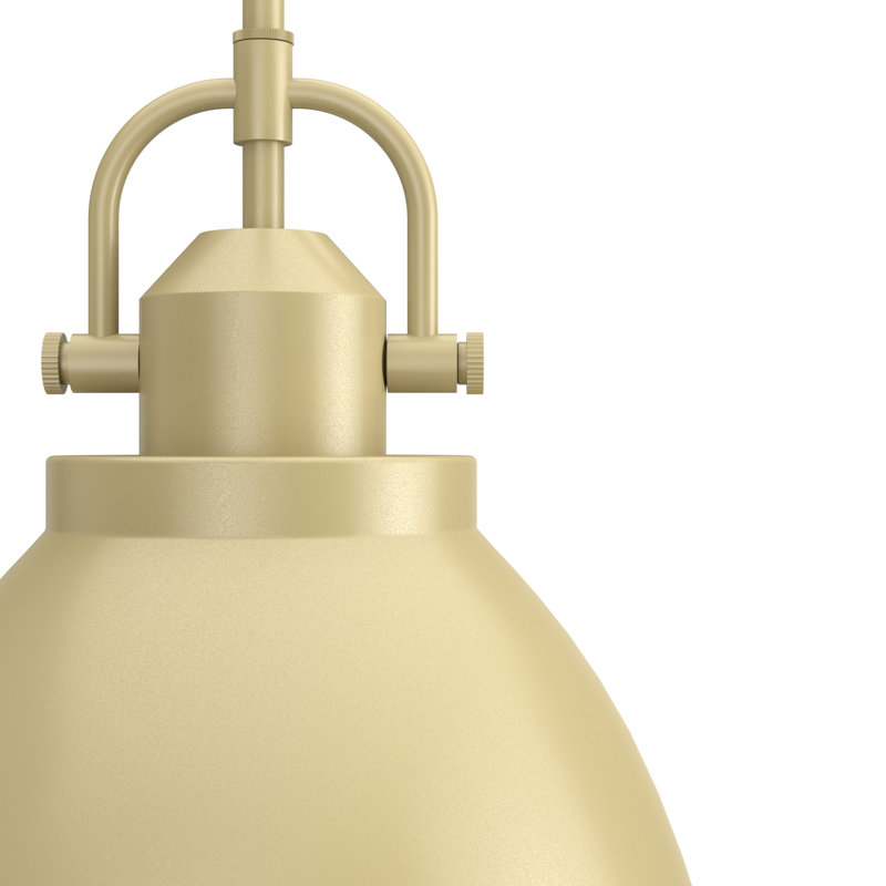 Bridgemoor Modern Brass 2-Light Industrial Pendant with Clear Glass