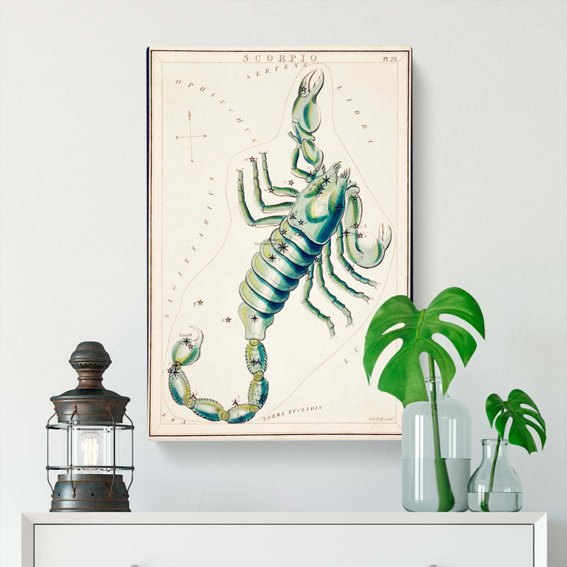 Astronomical Zodiac Chart Of The Scorpio - Wrapped Canvas Print, 50cm H x 35cm W x 3cm D