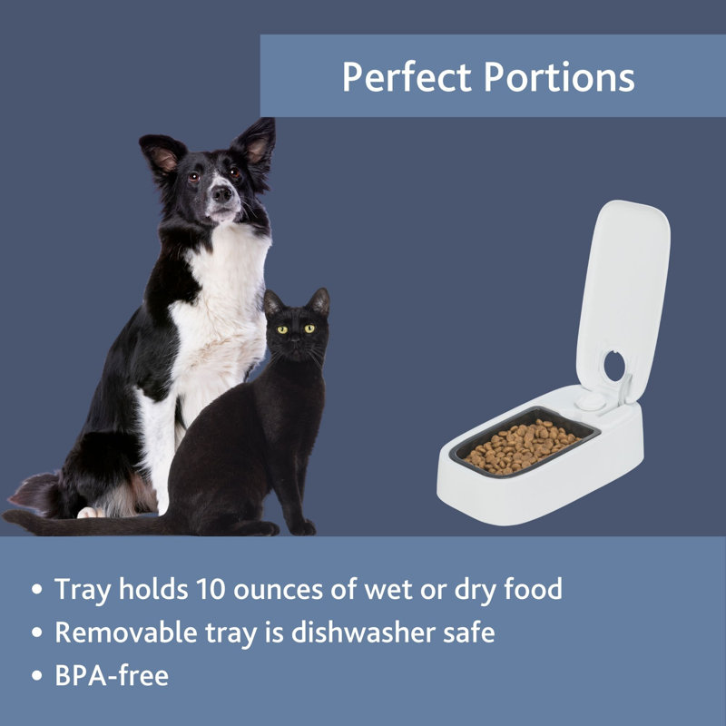 TRIXIE TX1 Automatic Food Dispenser, Single Serving, 48-Hour Timer, Battery Operated