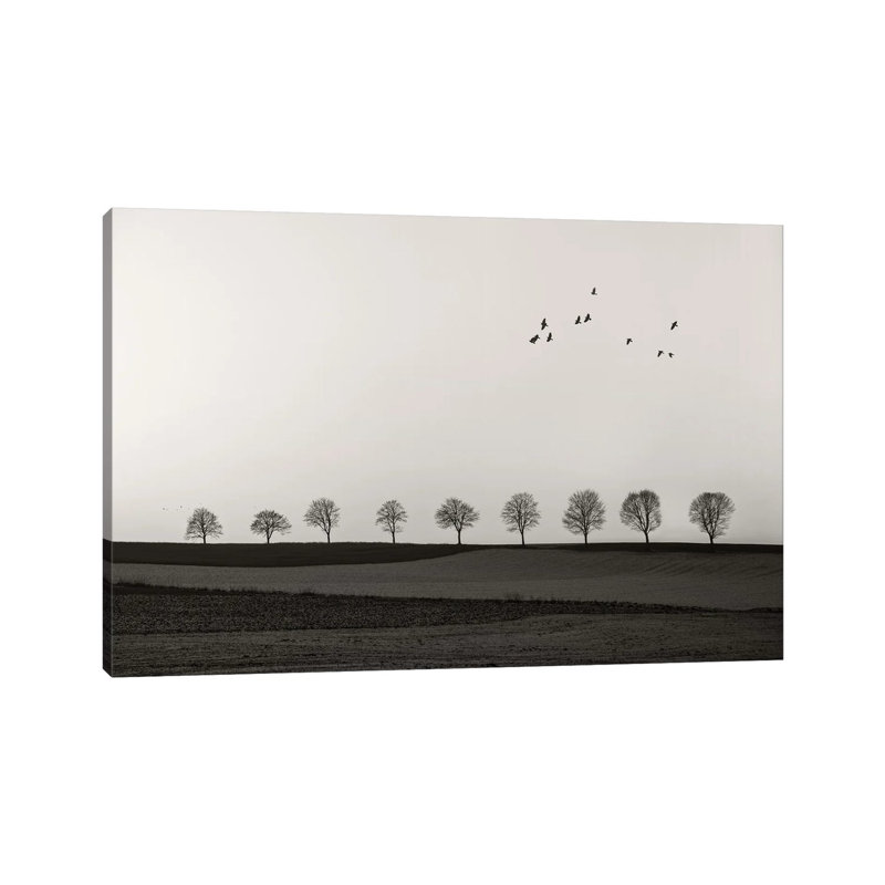 Winter Land by Lena Weisbek - Wrapped Canvas Print, 66.04 cm H x 45.72 cm W x 1.91 cm D