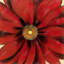 Red Daisy - Botanical Living