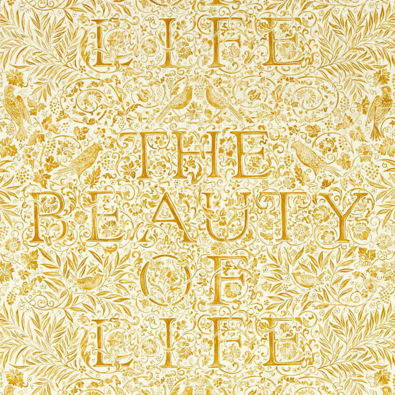 The Beauty of Life Wallpaper, Sunflower