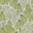 Fern Stone selected