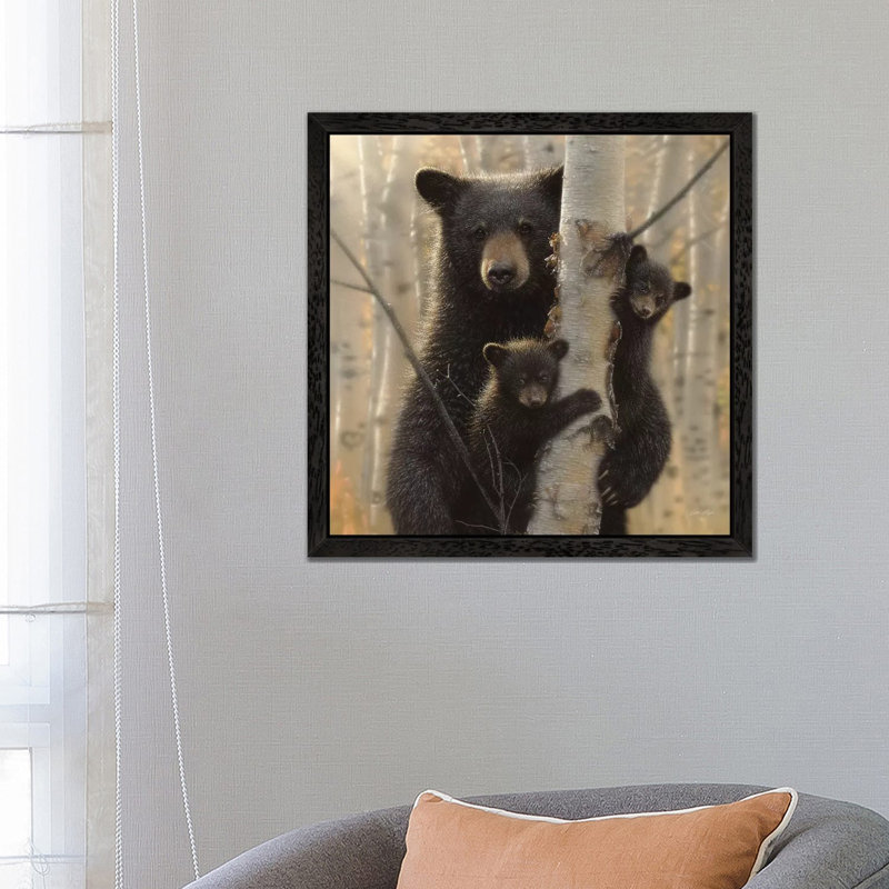 Mama Black Bear, Square by Collin Bogle - Floater Frame Print on Canvas, 93.98 cm H x 93.98 cm W, Black