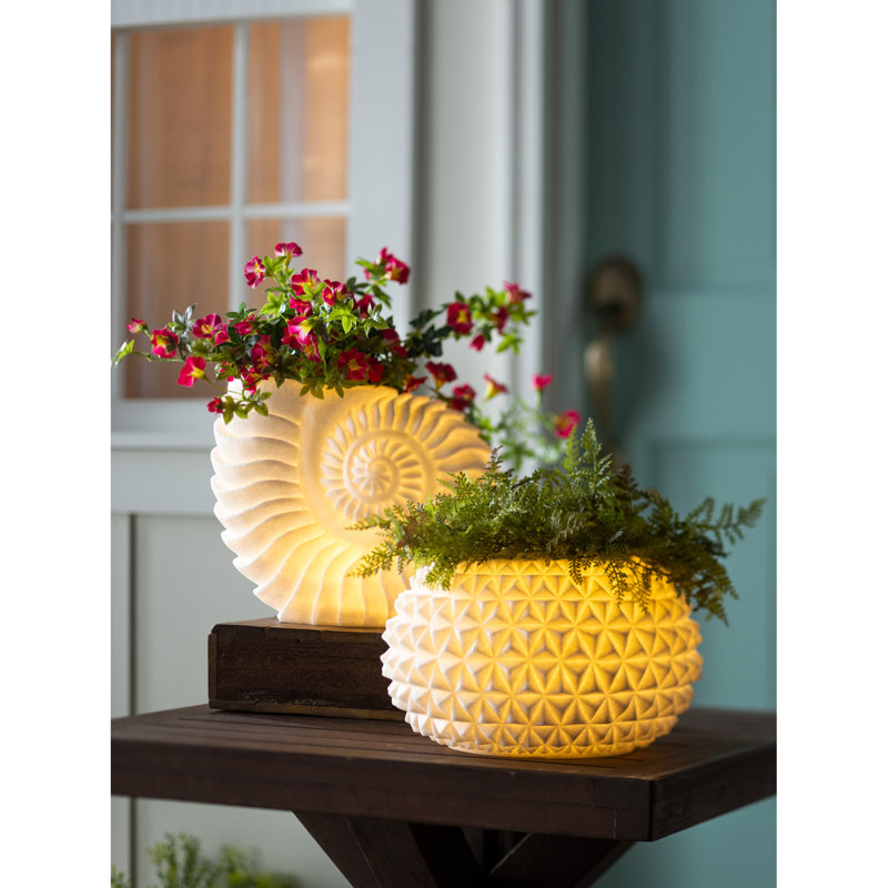 Vase lumineux