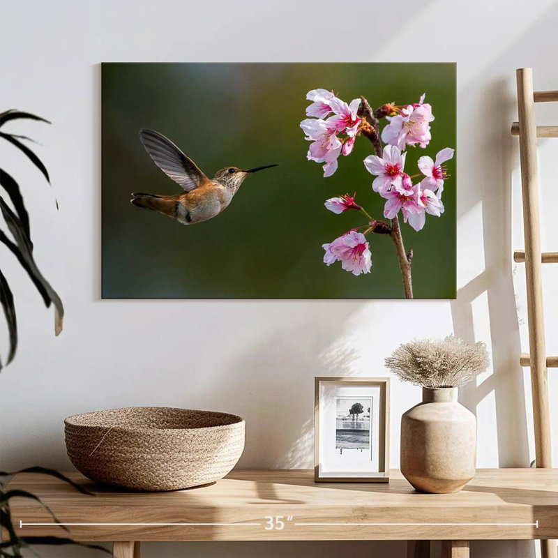 Colibri fleur de cerisier Brampt, H 16 po x l 24 po