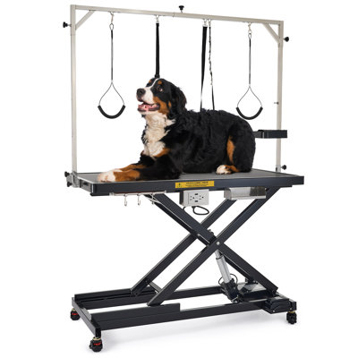 Table de toilettage électrique pour chien 47 po