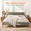 Lit plateforme tapissier Mid-Century-547516495