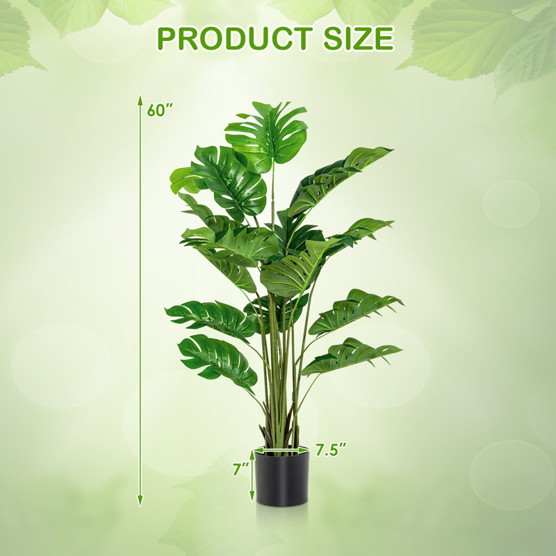 60 plantes