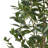 150CM ARTIFICIAL LAUREL TREE-483065427