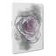 The Pale Purple Rose - Wrapped Canvas Drawing - Wrapped Canvas-56660955