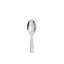 Dressed Stainless Steel Serving Spoon