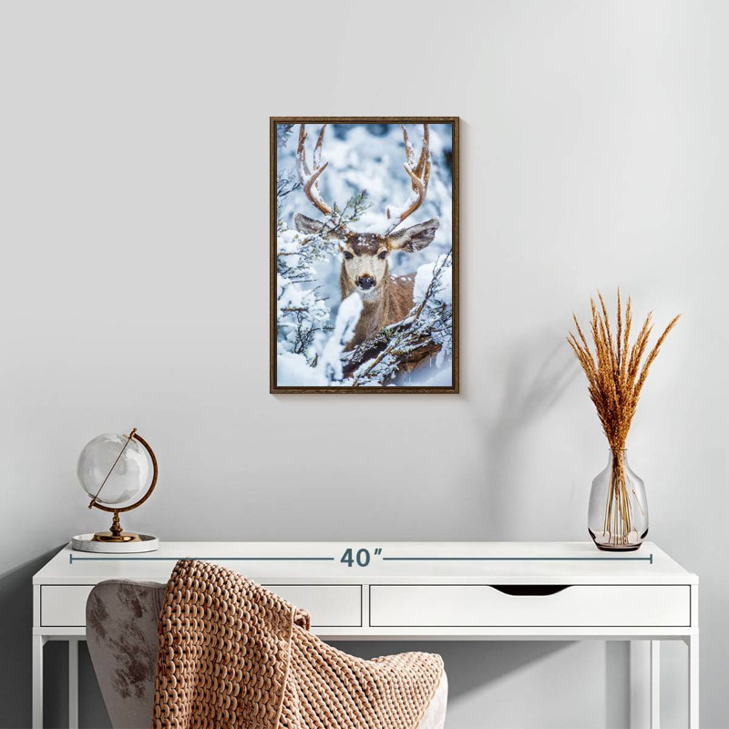 Winter Mule Deer, Floating Frame Walnut, 13" x 19"