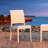 Tomosuke Stacking Patio Dining Side Chair-20361538