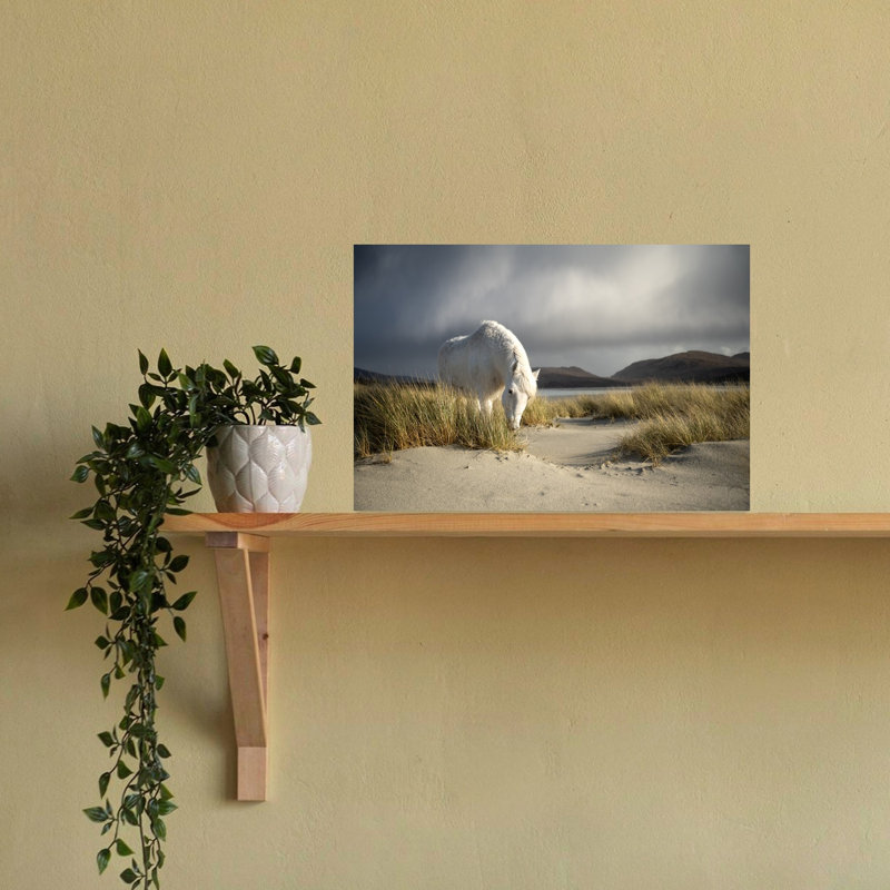 Wild Horse Coastal Dunes Dramatic Serene Abstract Horse Coastal Landscape, art mural