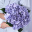 Hortensia Laidley-884635533