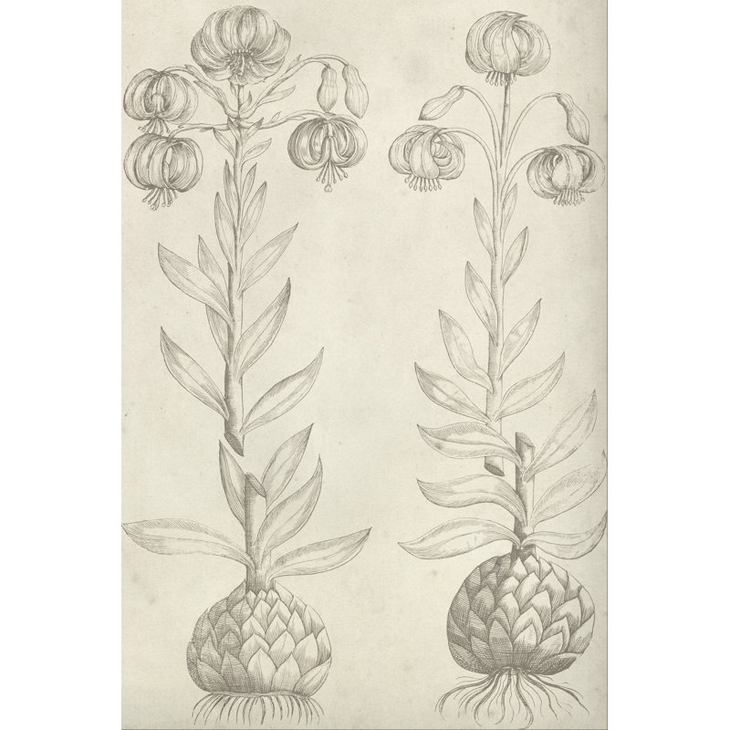 Fresco Floral II - Graphic Art, 122 cm H x 81 cm W, Wrapped Canvas