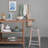 Antionio Pitcher-700543494