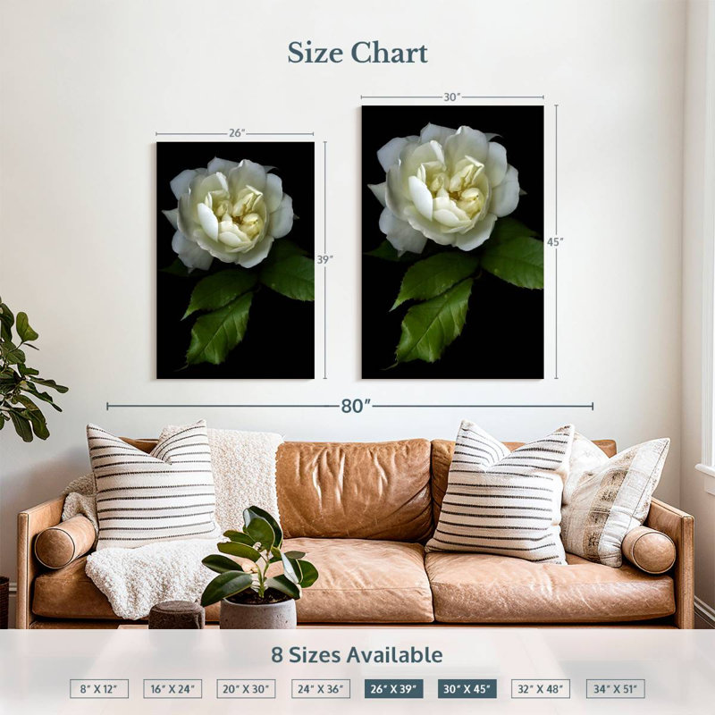 Harnek Lone White Rose, 39" H x 26" W
