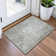 Premium Machine Washable Alijah AMF1257 Abstract Rug