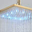 Pomme de douche à jet de pluie moderne 8 po DEL-92916926