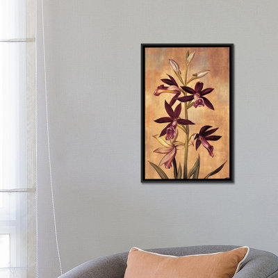 " Burgundy Orchid " by Jill Deveraux