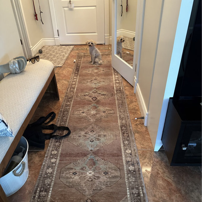 Magnolia Home By Joanna Gaines X Loloi Sinclair Machine Washable Clay /  Tobacco Area Rug & Reviews