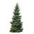 Sapin