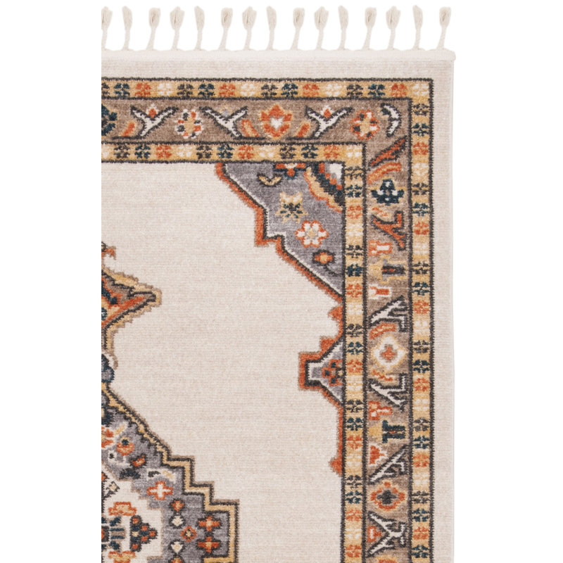 Darrow Performance Oriental Rug, Rectangle 9' x 12'